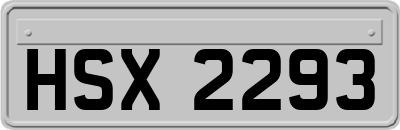 HSX2293