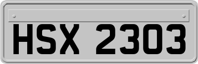 HSX2303