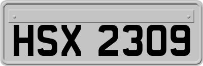 HSX2309