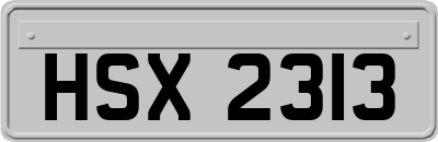 HSX2313