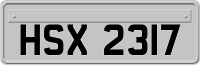 HSX2317
