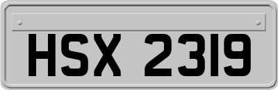 HSX2319