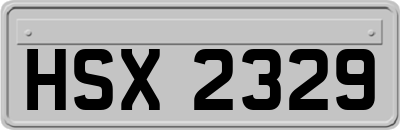 HSX2329