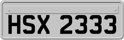 HSX2333
