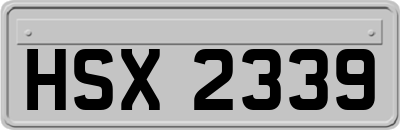 HSX2339