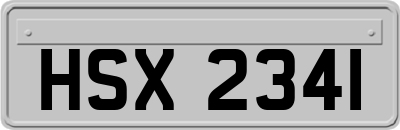HSX2341