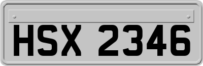 HSX2346