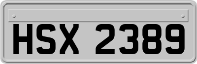 HSX2389