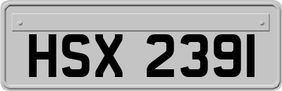 HSX2391