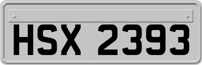 HSX2393
