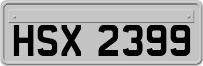 HSX2399