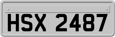 HSX2487