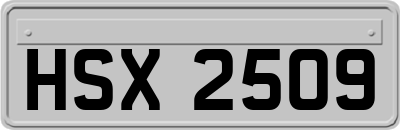 HSX2509