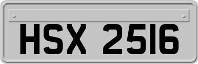 HSX2516