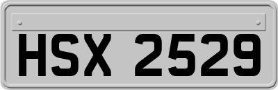 HSX2529