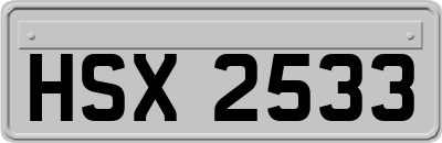 HSX2533