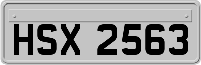 HSX2563