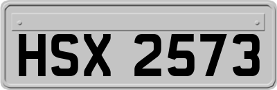 HSX2573