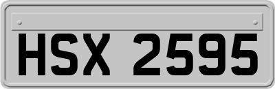 HSX2595