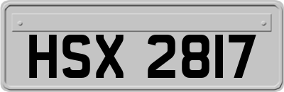 HSX2817