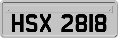HSX2818