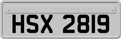 HSX2819