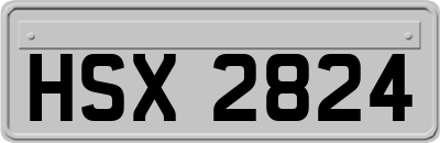 HSX2824