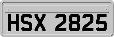 HSX2825