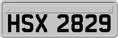HSX2829
