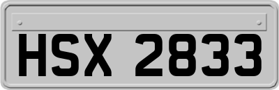 HSX2833