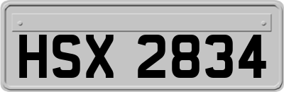HSX2834