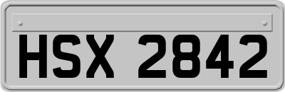 HSX2842