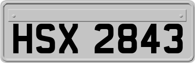 HSX2843