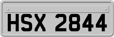 HSX2844