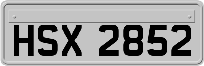 HSX2852