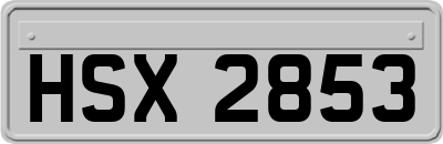 HSX2853