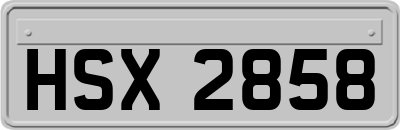 HSX2858