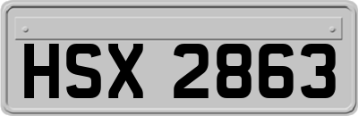 HSX2863