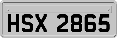 HSX2865