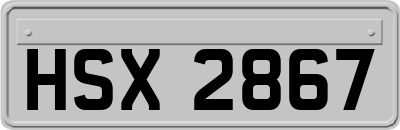 HSX2867