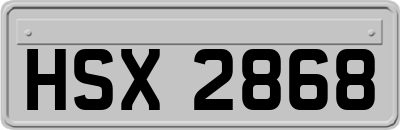 HSX2868