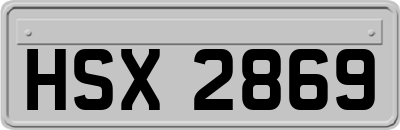 HSX2869