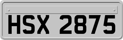 HSX2875