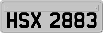 HSX2883