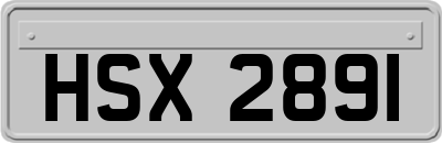 HSX2891