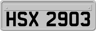 HSX2903
