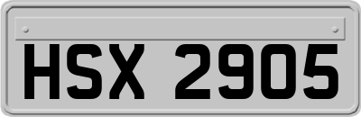 HSX2905