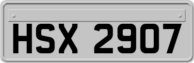 HSX2907