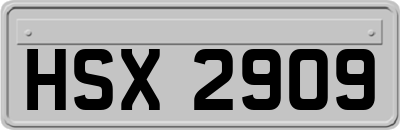 HSX2909