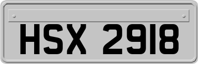 HSX2918